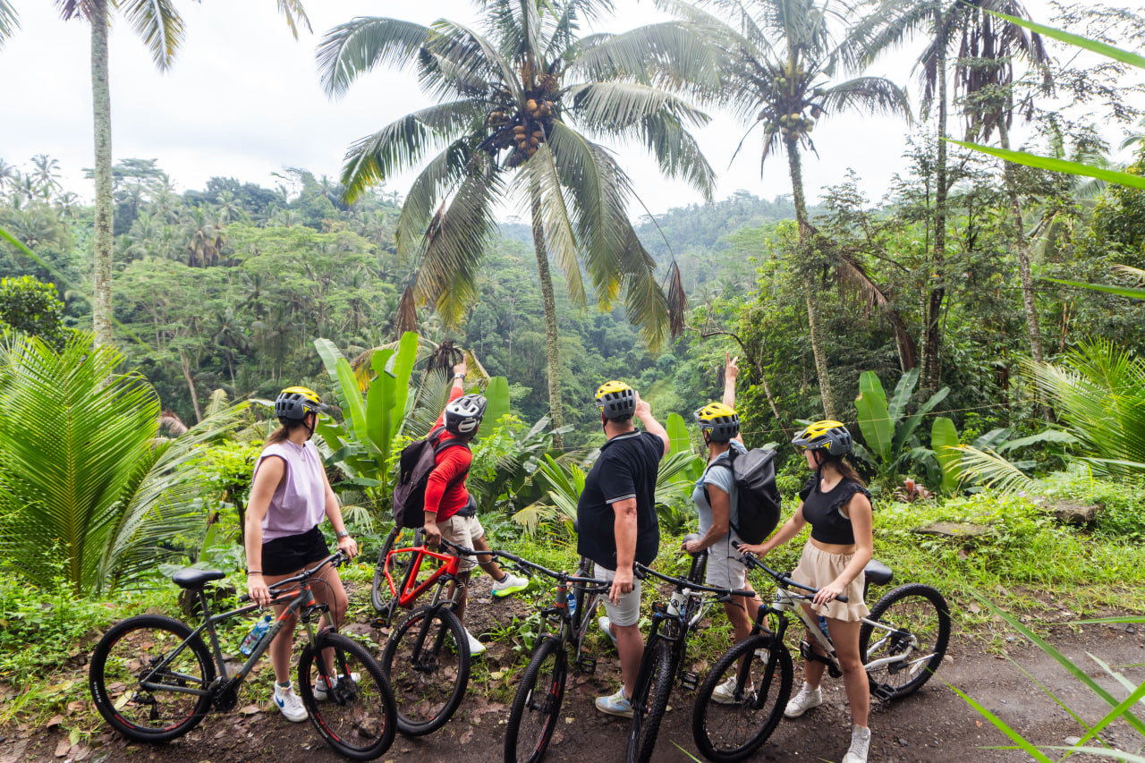 Bali Rice Fields Cycling
